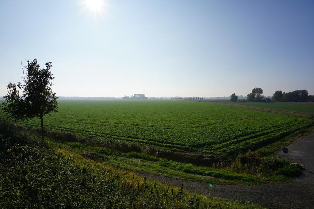 Herberg De Ring Dreischor Exteriör bild